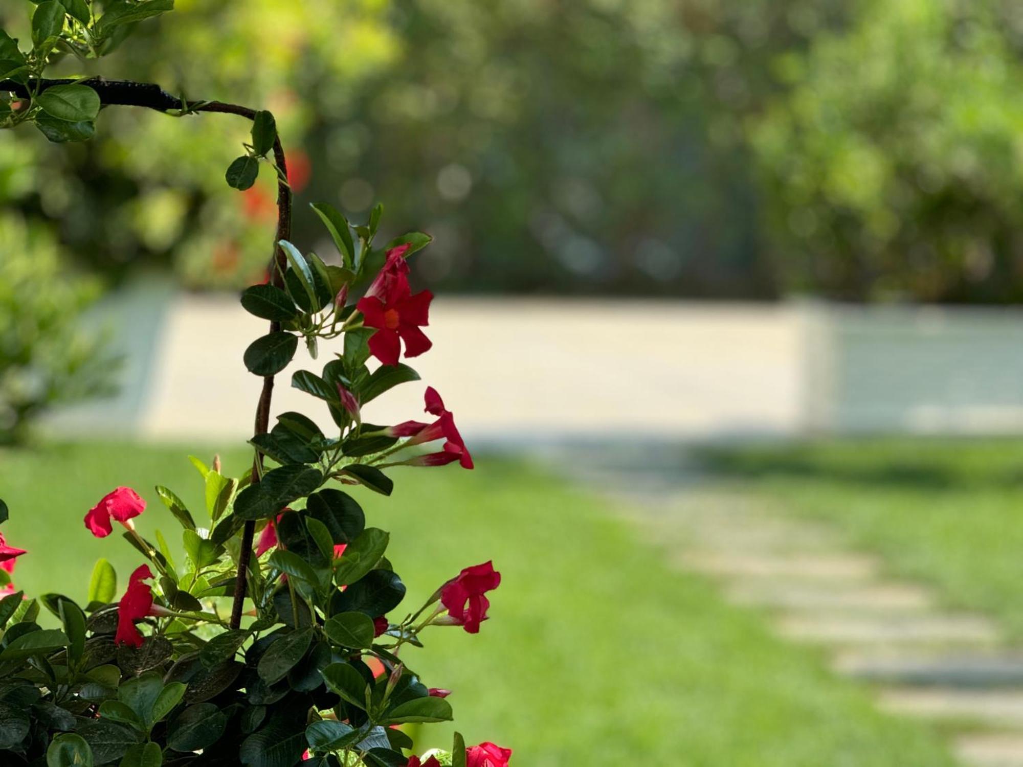 Villa Ax Mirage Wlora Zewnętrze zdjęcie